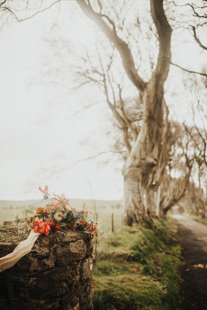 Ireland Elopement Adventure Dark Hedges