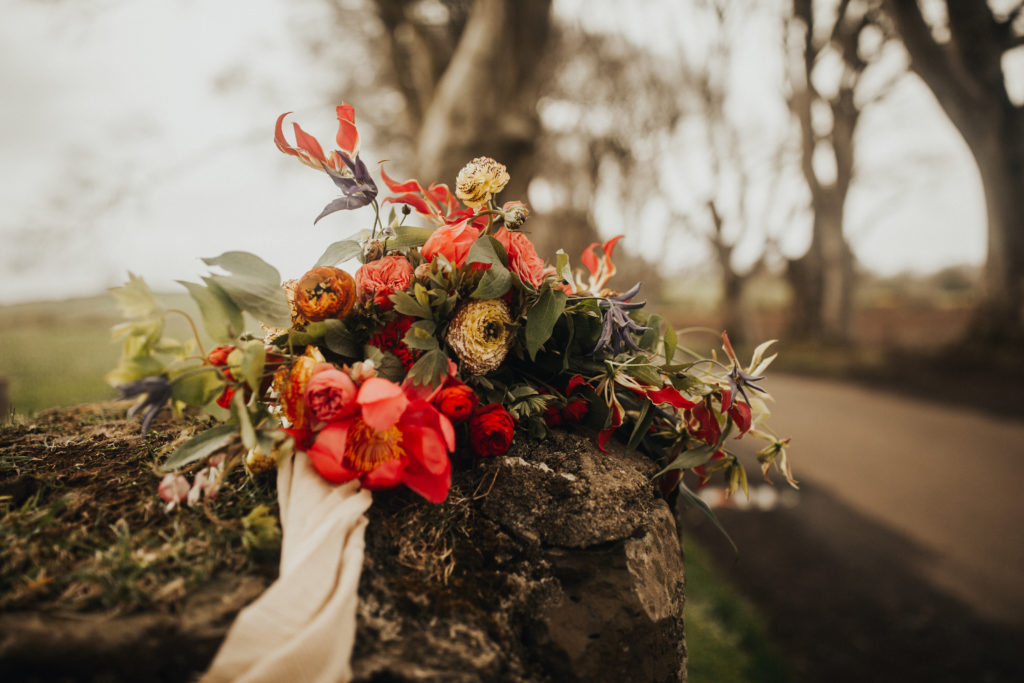 Ireland Elopement Adventure Dark Hedges