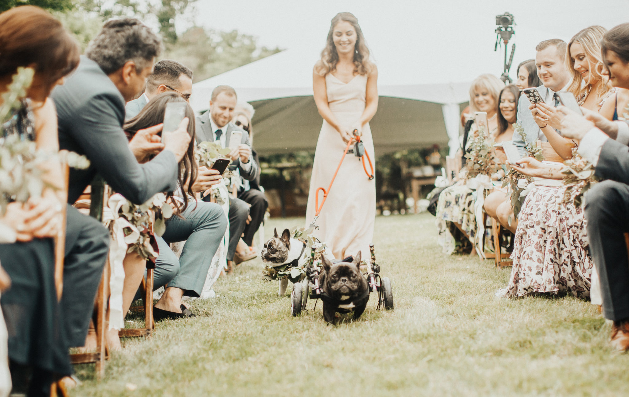 New Jersey Wedding and Elopement Photographer Bride Groom Meadowburn Farm