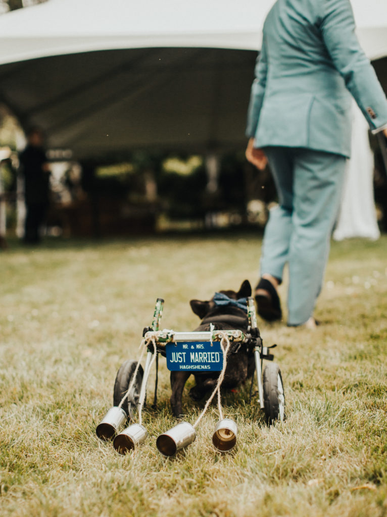 New Jersey Wedding and Elopement Photographer Bride Groom Meadowburn Farm