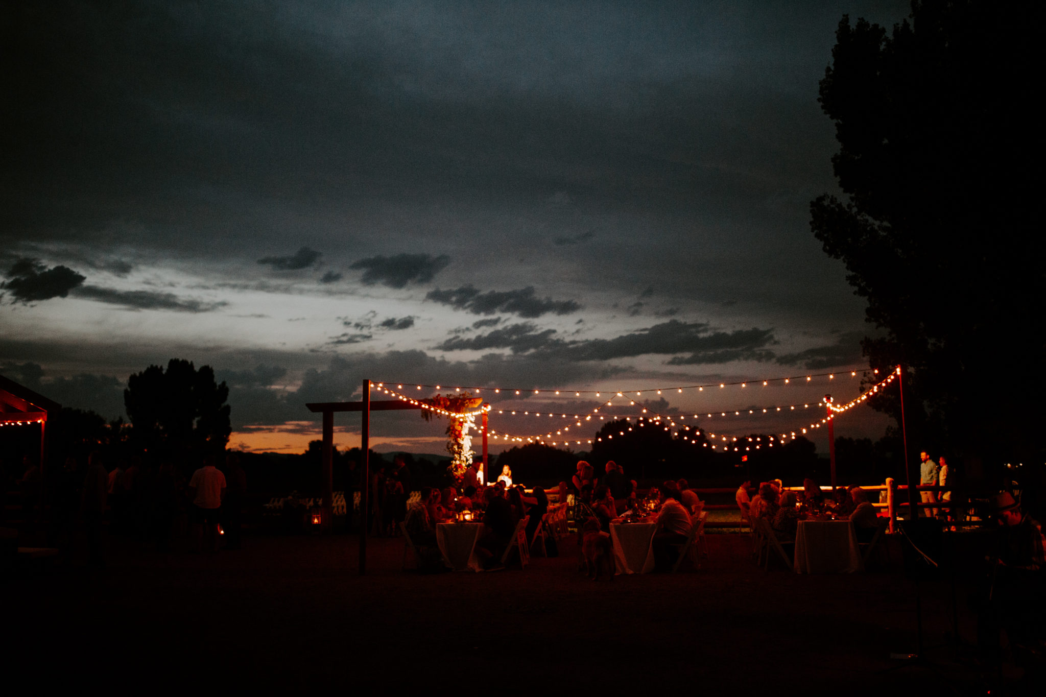 Colorado Wedding 