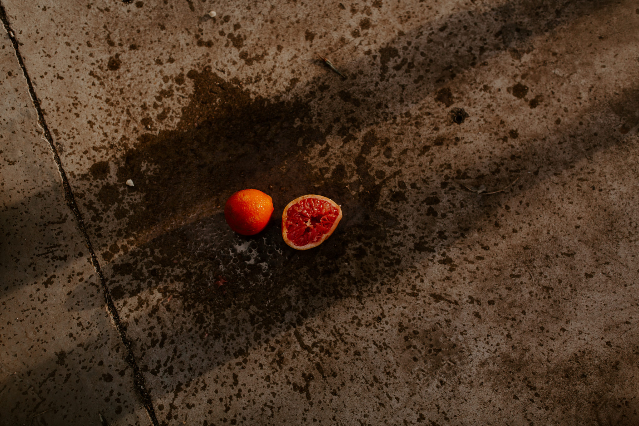 Arcosanti - Arizona Citrus and 70's Inspired Shoot